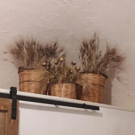 Dammuso Nonna Rosa Apartament